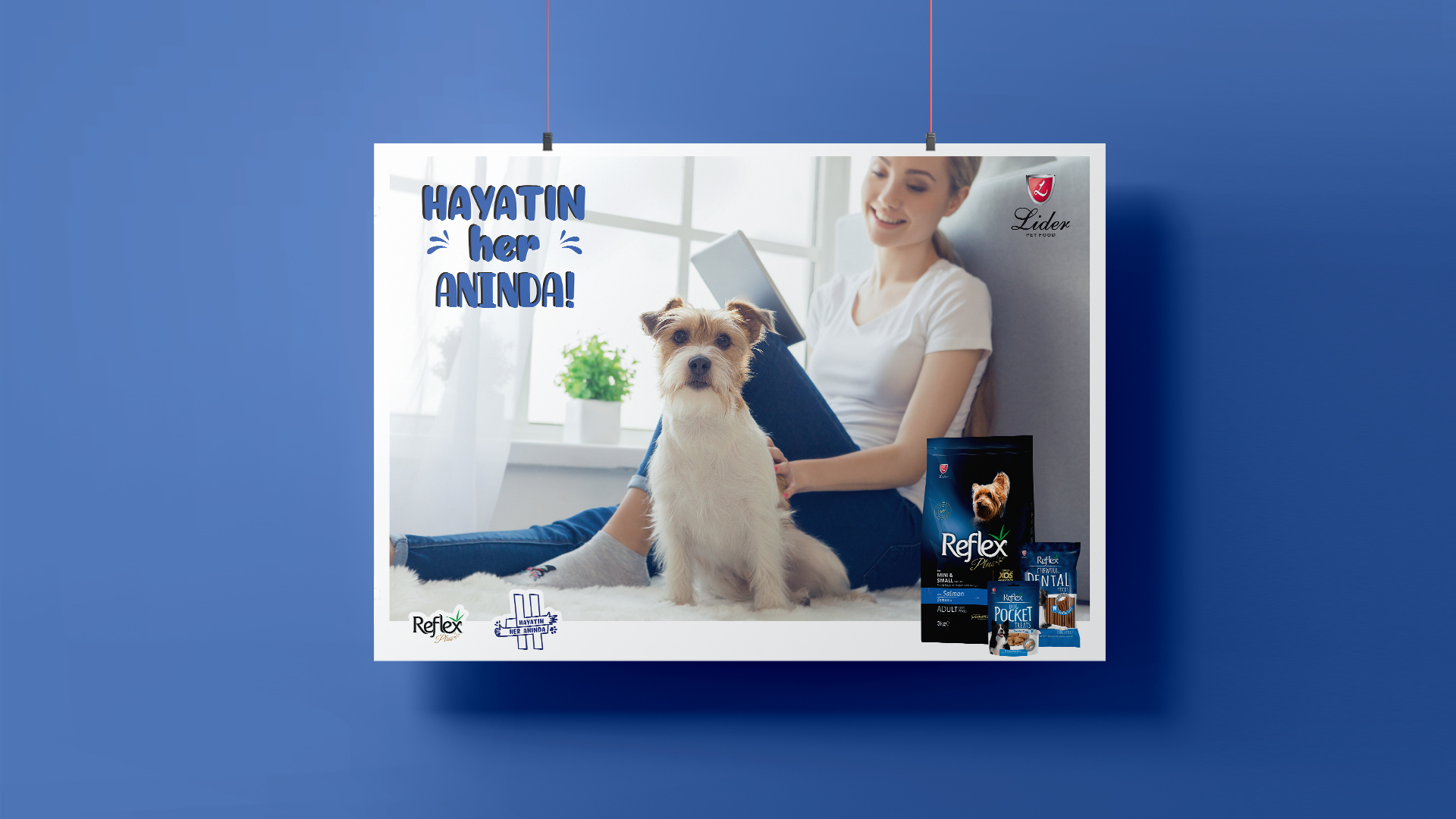 Lider Pet Food - Hayatın Her Anında