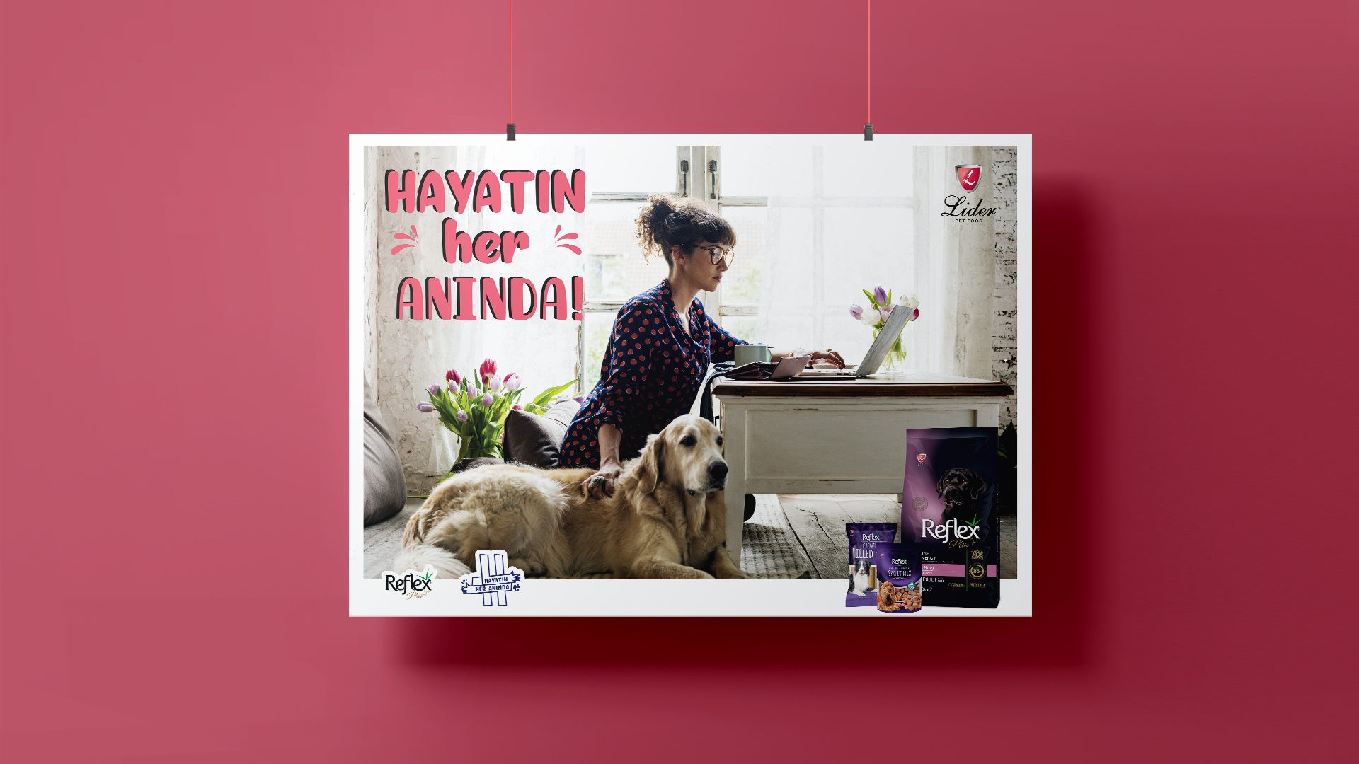 Lider Pet Food - Hayatın Her Anında