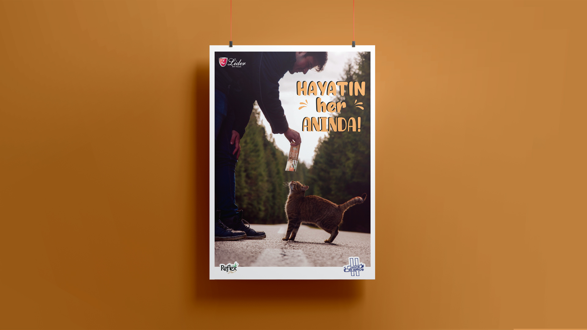 Lider Pet Food - Hayatın Her Anında